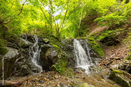 新緑の沢登り