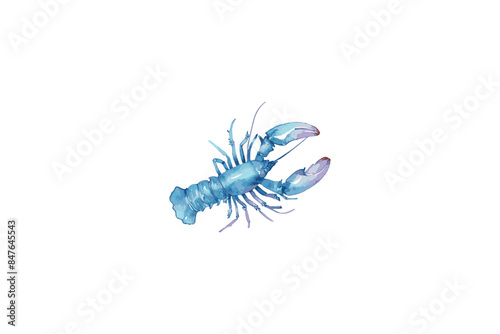 beautiful watercolor drawing. fully editable vector file