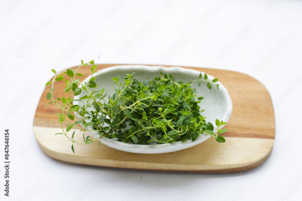 Fresh lemon thyme on white background. Fresh lemon thyme on white background.