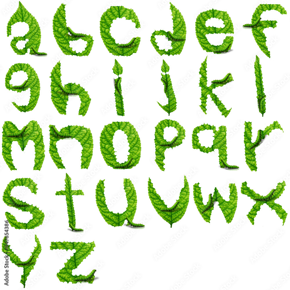 Font design inspired by caterpillars Font design inspired by caterpillars