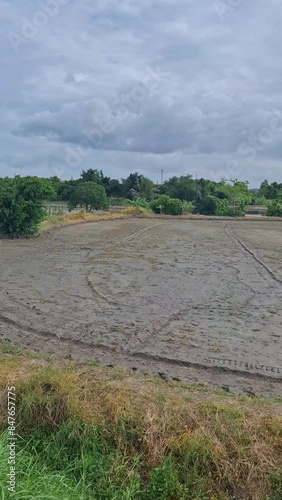 road, landscape, sky, nature, field, grass, summer,