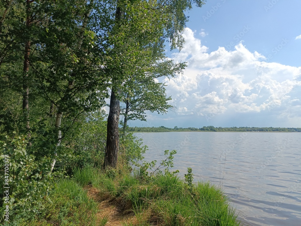 Rekyva forest and lake during sunny summer day. Pine and birch tree woodland. Wavy lake. Bushes and small trees are growing in woods. Sunny day with white clouds in sky. Nature. Rekyvos miskas. Rekyva forest and lake during sunny summer day. Pine and birch tree woodland. Wavy lake. Bushes and small trees are growing in woods. Sunny day with white clouds in sky. Nature. Rekyvos miskas.