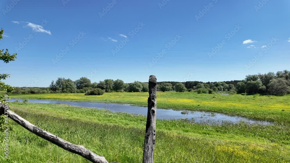 Green, wild meadow with a small lake, picturesque garden. Green, wild meadow with a small lake, picturesque garden.