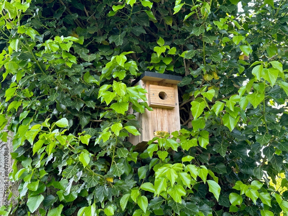 Beautiful wooden birdhouse hanging on tree trunk in park Beautiful wooden birdhouse hanging on tree trunk in park