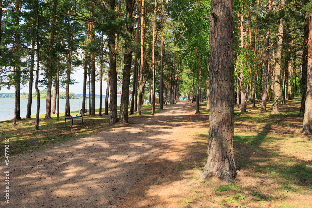 Road path in a park or forest. Beautiful sunny landscape Road path in a park or forest. Beautiful sunny landscape