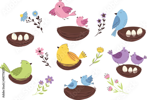 Colorful birds with their chicks. Spring birds and flowers set. Graphic elements for design of clothes, packaging, postcards and posters.