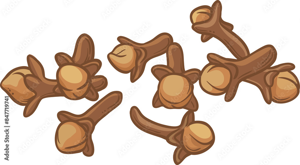 Clove Seeds Colored Detailed Illustration Clove Seeds Colored Detailed Illustration
