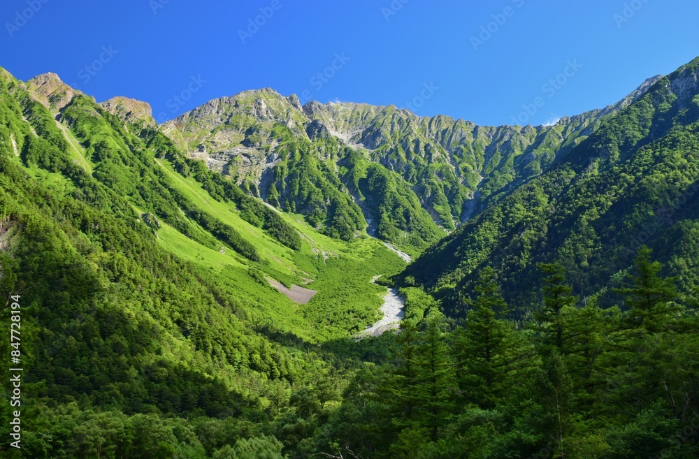 Naklejka premium 上高地の夏景色