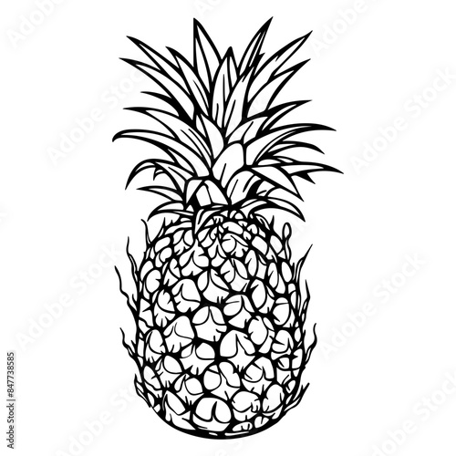 pineapple silhouette, pineapple icon vector illustration