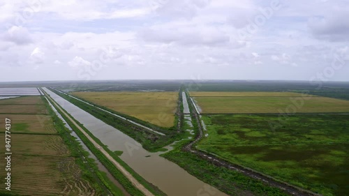 Aerial: Big open rice fields with river flowing through, landscape scene in Nickerie Suriname photo