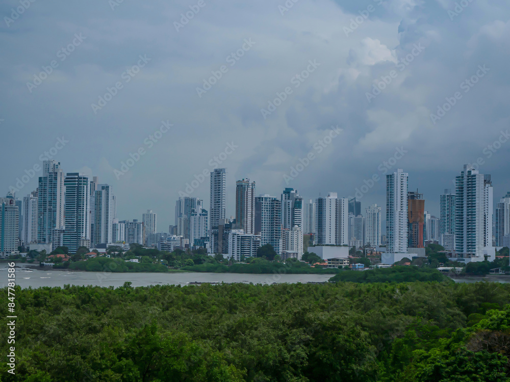 Compelling view over lush green trees towards high-rise buildings of modern city Compelling view over lush green trees towards high-rise buildings of modern city