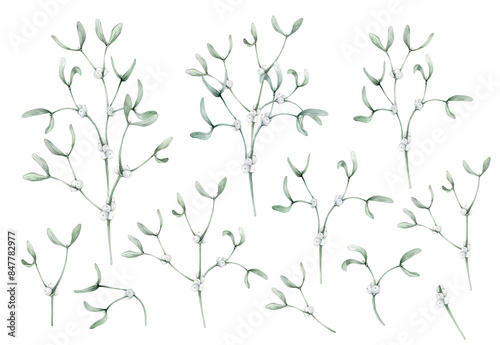 Wallpaper Mural Christmas traditional watercolor set of mistletoe bouquet isolated on white background. Hand painted plant illustration for winter holidays design. New years clipart white berry branch with green leaf Torontodigital.ca