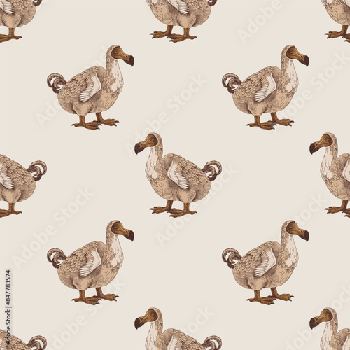 Seamless pattern with dodo extinct birds