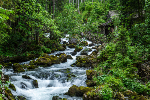 The Beauty of Gollinger Waterfall in Austria's Wilderness