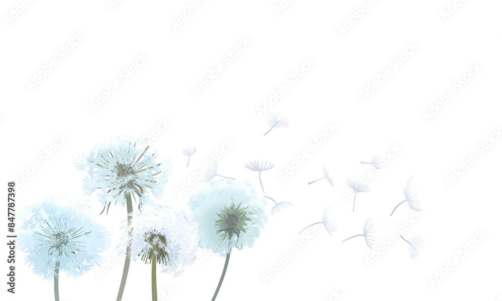 Fototapeta premium Dandelions png border, transparent background