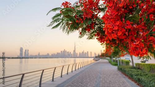 beautiful embankment with flowering trees overlooking the downtown Dubai at sunset, UAE