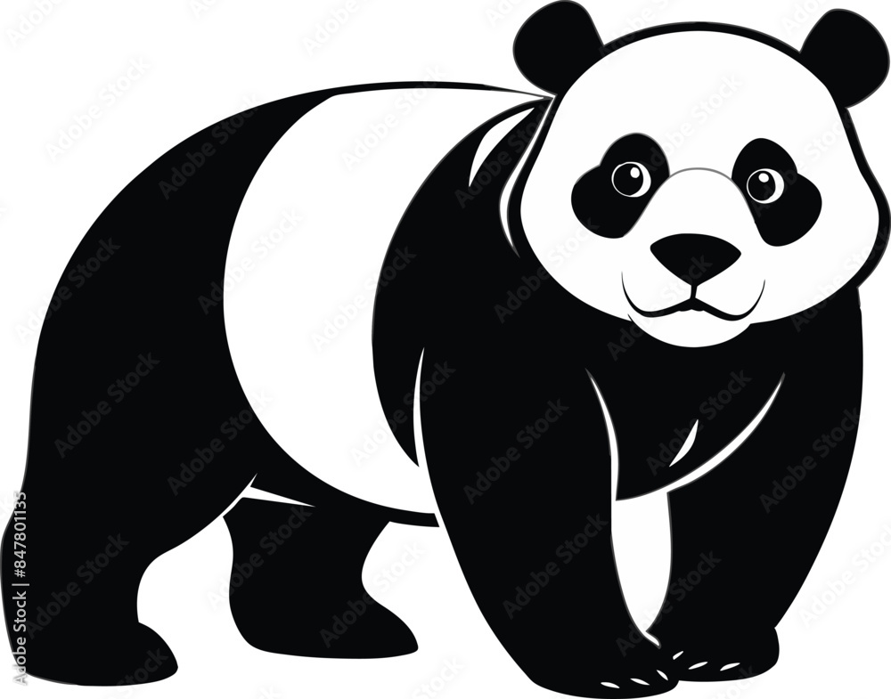 Fototapeta premium panda vector illustration