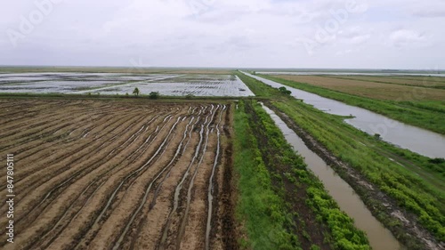 Aerial: Big open flooded rice fields with tractor tire tracks, canal flowing through, drone rising in Nickerie Suriname photo