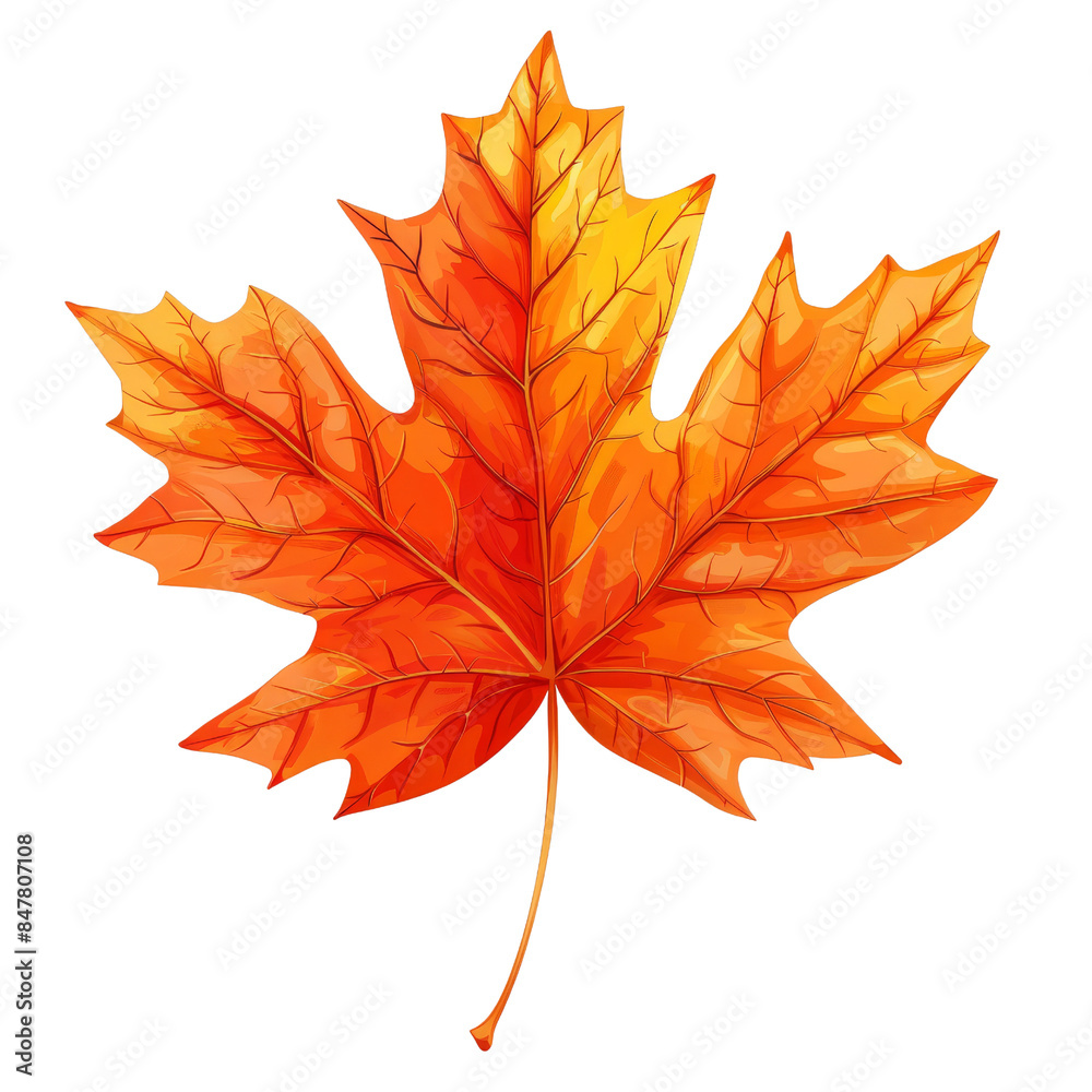 Vibrant orange autumn maple leaf isolated ontransparent background. Perfect for fall-themed designs, nature concepts, and seasonal decorations. Vibrant orange autumn maple leaf isolated ontransparent background. Perfect for fall-themed designs, nature concepts, and seasonal decorations.