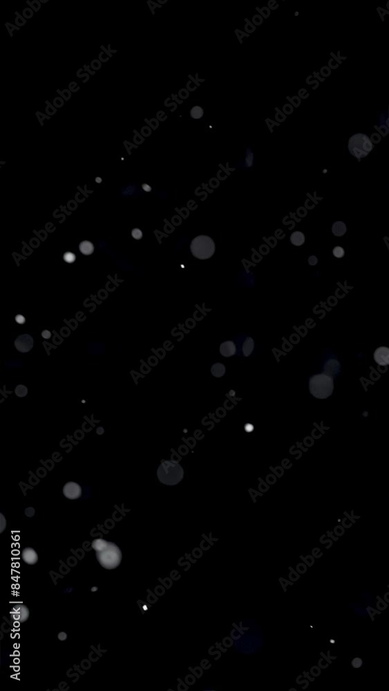 Vertical snow is snowing overlay background Vertical snow is snowing overlay background