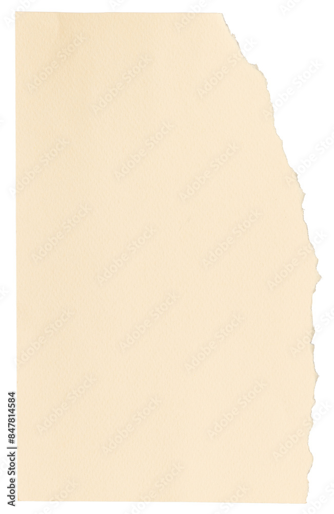 Obraz premium DIY torn paper craft png in beige simple style