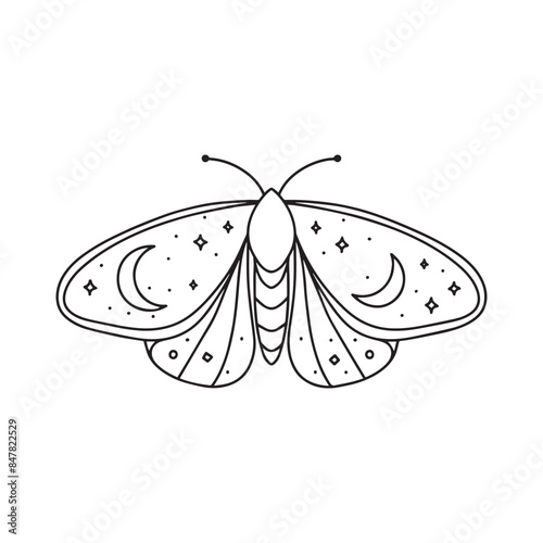Illustration of moth with moon and night sky wing motive