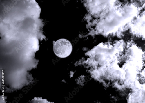 Obraz na płótnie The moon in the night sky w salonie