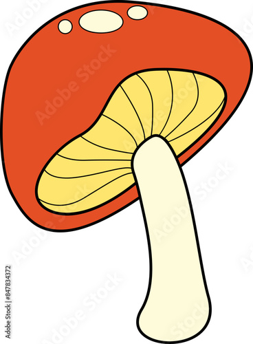 illustration of mushroom