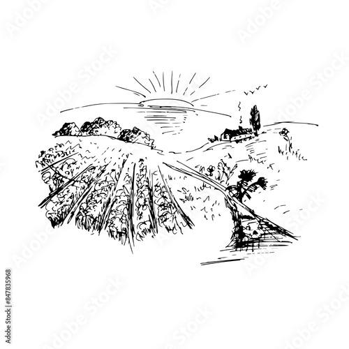 Rural landscape, hand drawing, sketch.