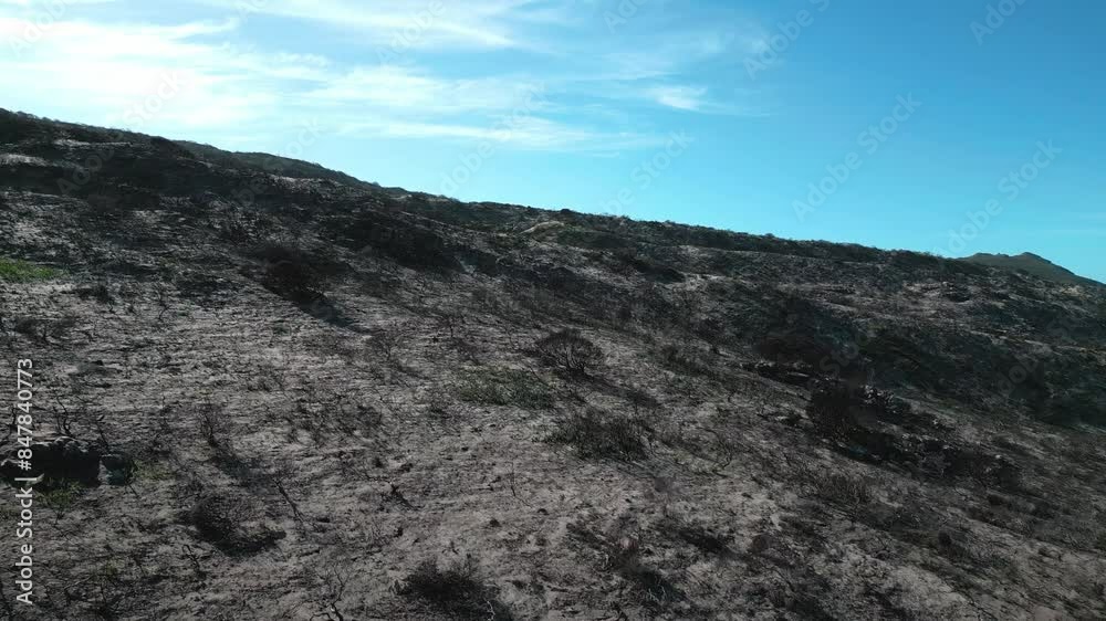 Burnt mountain from the summer fire season Burnt mountain from the summer fire season