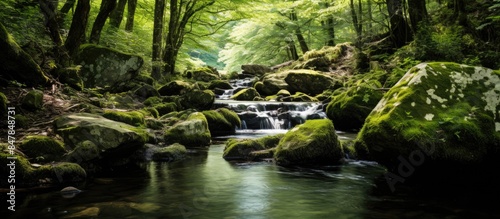 mini waterfall. Creative banner. Copyspace image