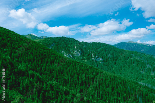 Fototapeta Naklejka Na Ścianę i Meble -  Beautiful landscape of mountains covered with pine forest in Poland