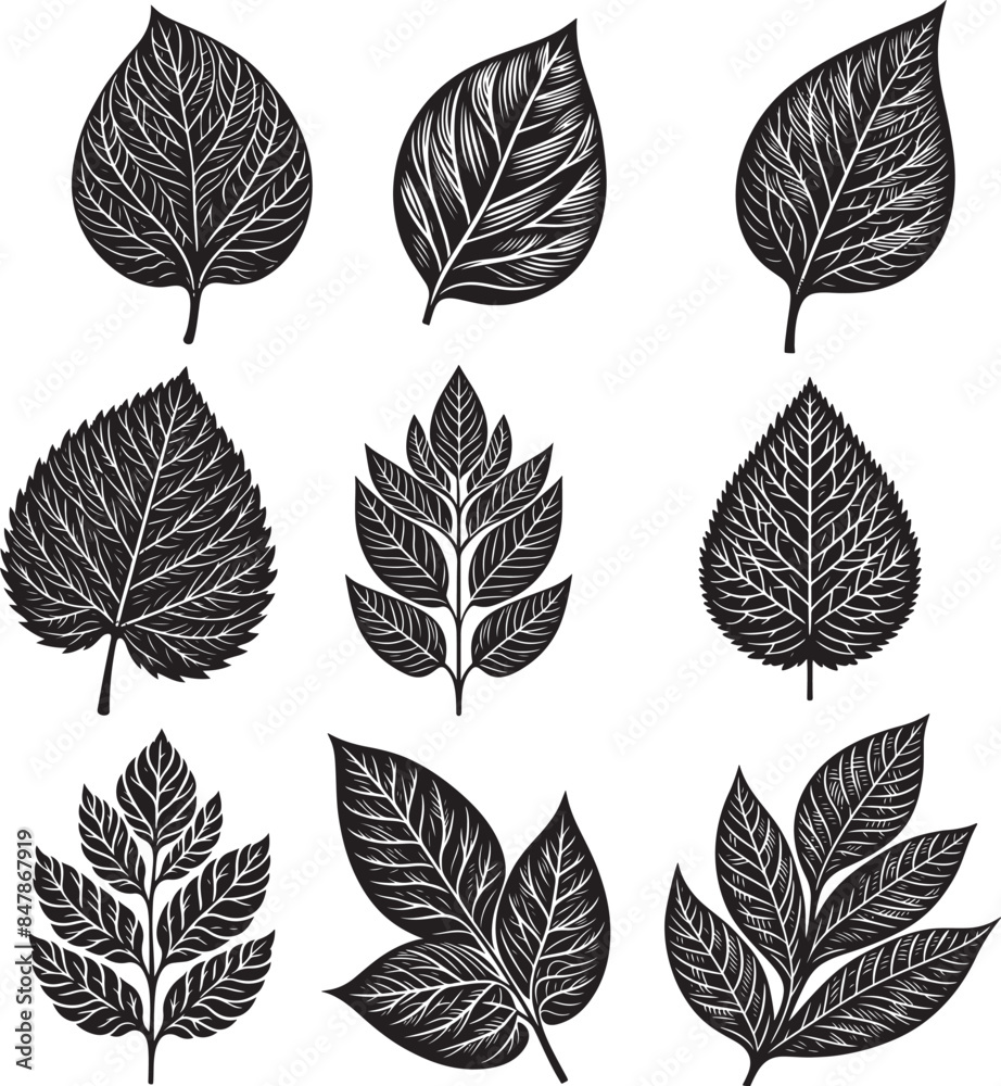 Black Leaf Inked Silhouette Black Leaf Inked Silhouette