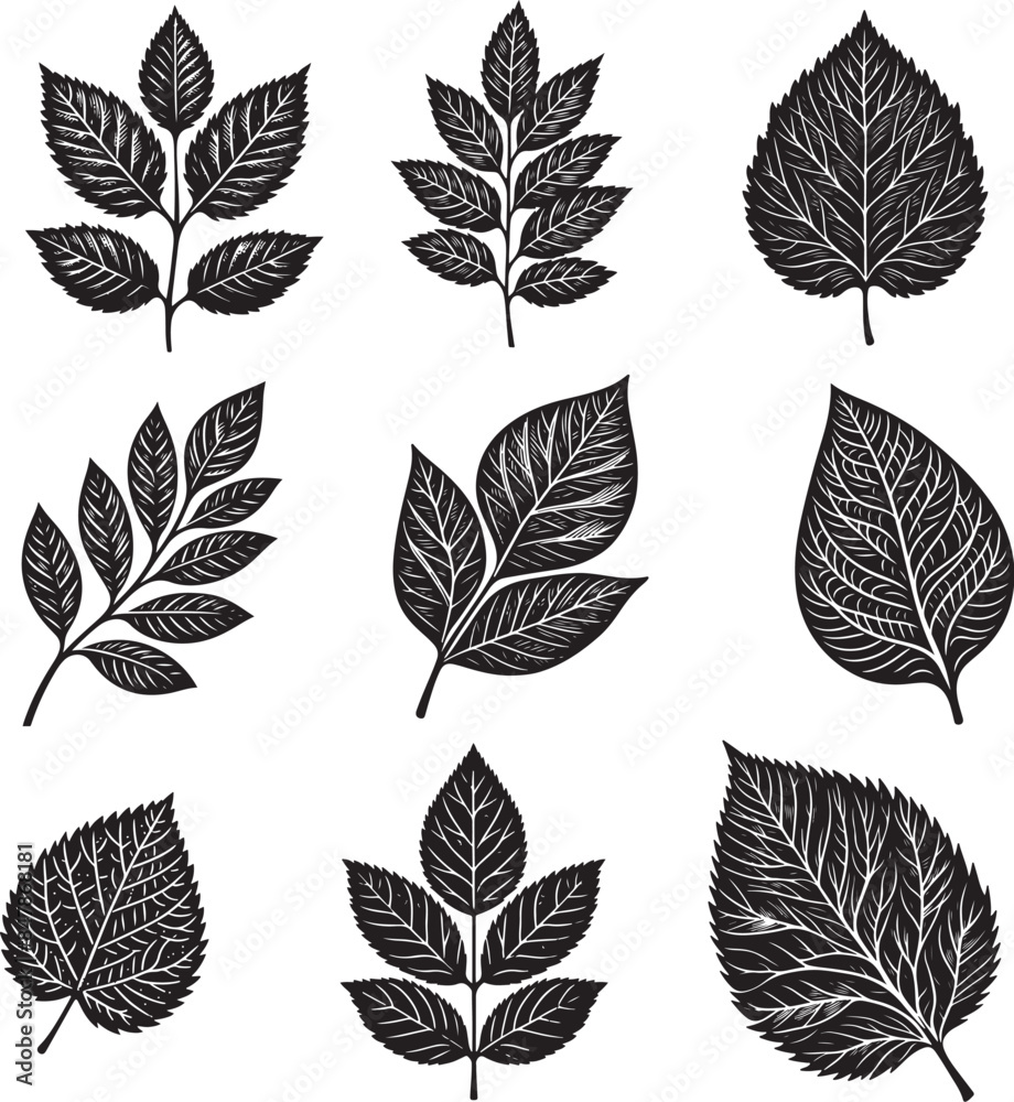  Black Leaf Inked Silhouette