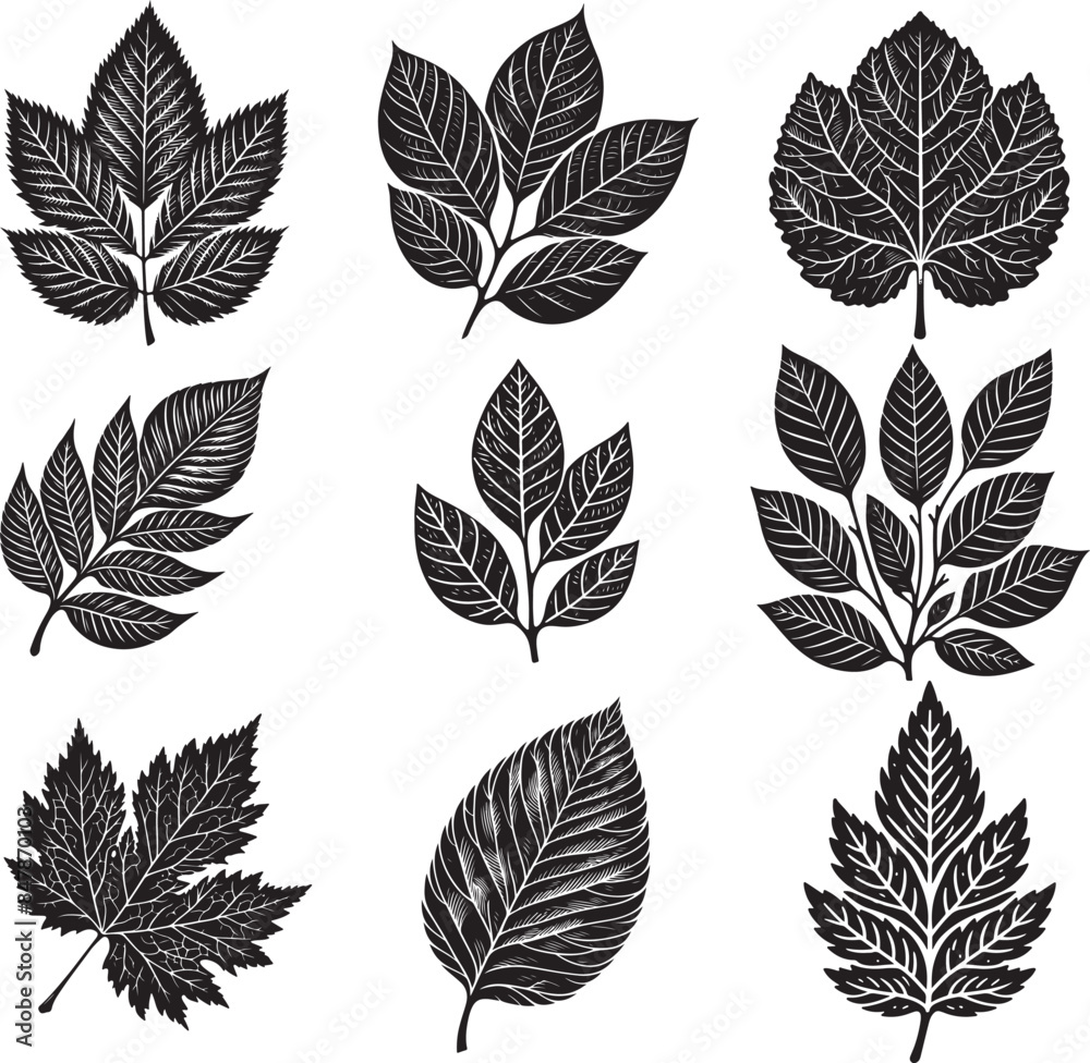Black Leaf Inked Silhouette Black Leaf Inked Silhouette