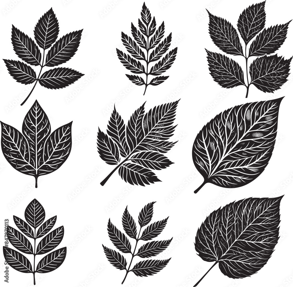 Obraz premium Black Leaf Inked Silhouette