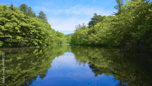 軽井沢の雲場池の風景動画