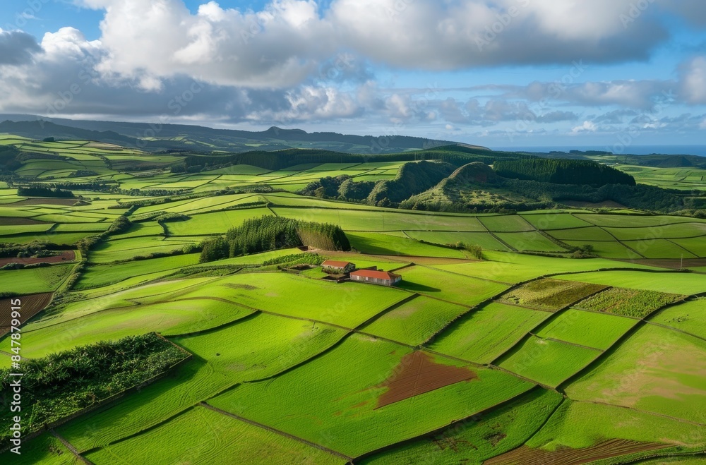 Fototapeta premium An aerial view of the tranquil beauty 