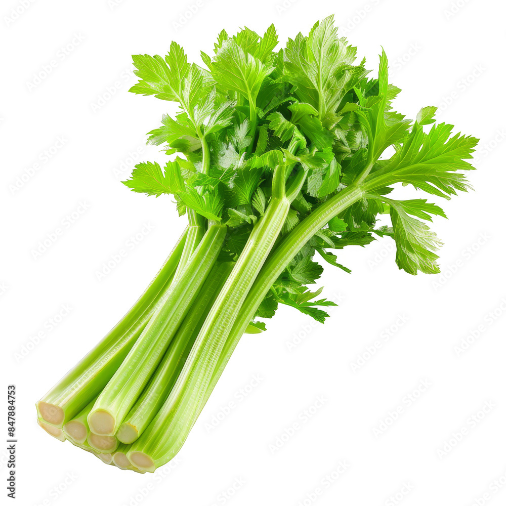 Celery Isolated on a Transparent Background Celery Isolated on a Transparent Background