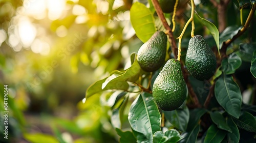 Wallpaper Mural Avocado fruits on a tree. selective focus. Generative AI, Torontodigital.ca