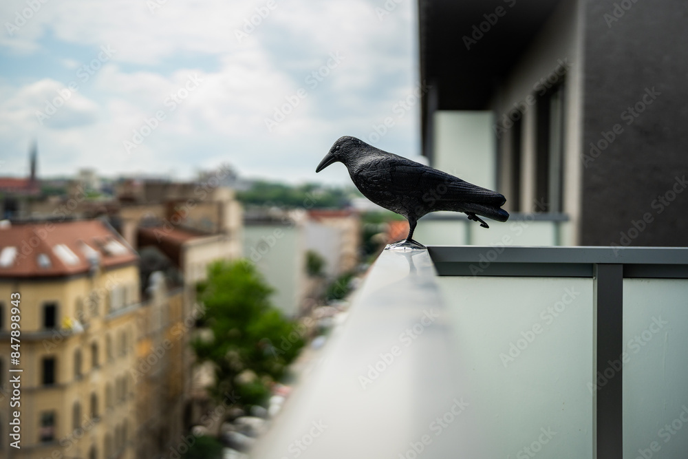 bird repeller - artificial bird - against pigeons sitting on the balcony railings