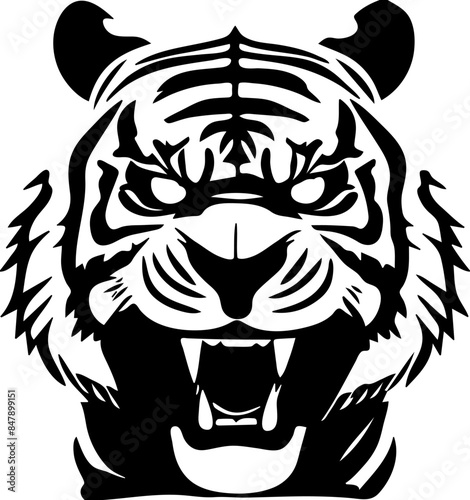 Wild life sahara tiger