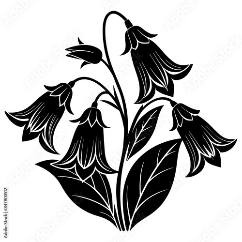 canter bury bells flower vector  silhouette illustration