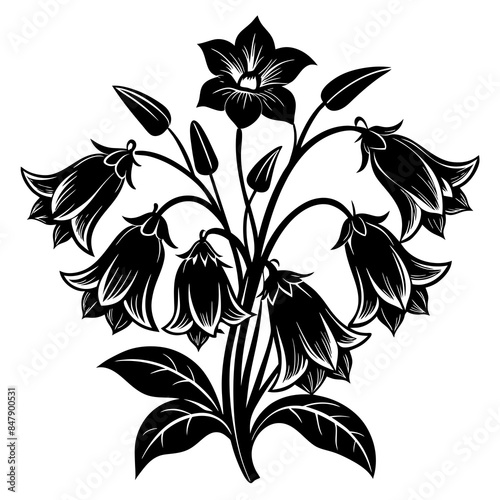 canter bury bells flower vector  silhouette illustration