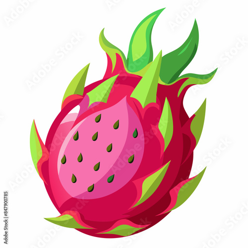 dragon vector artwork illustration svg file
