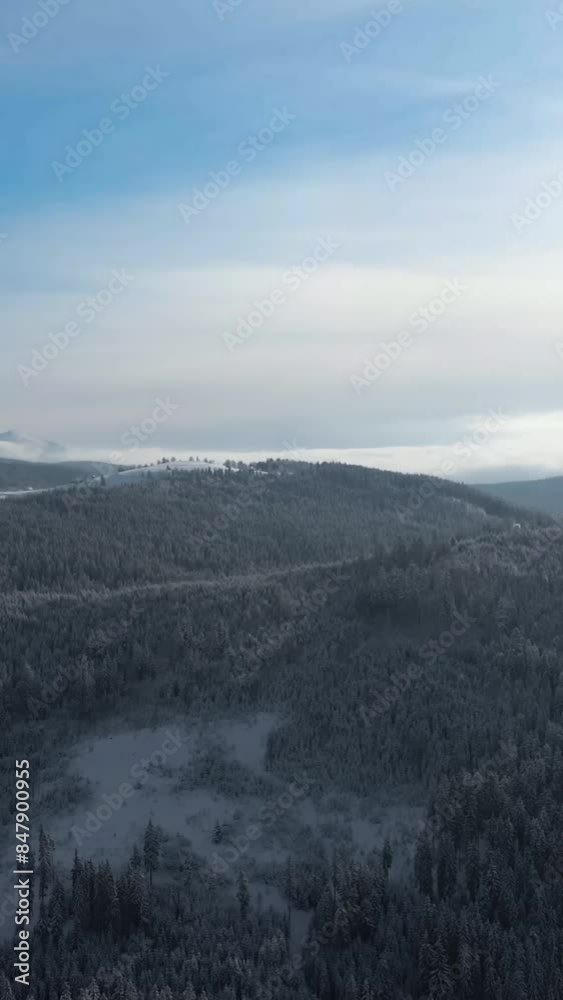 Aerial view of beautiful snow forrest during winter