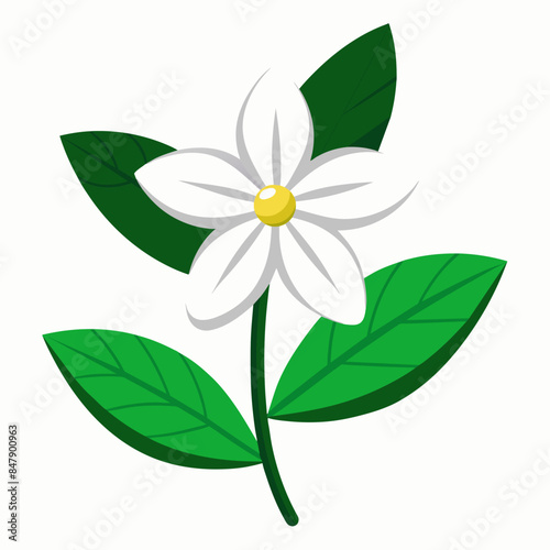 Jasmine vector artwork and svg file