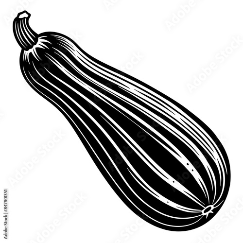 Zucchini vector silhouette illustration svg