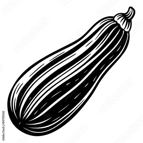 Zucchini vector silhouette illustration svg