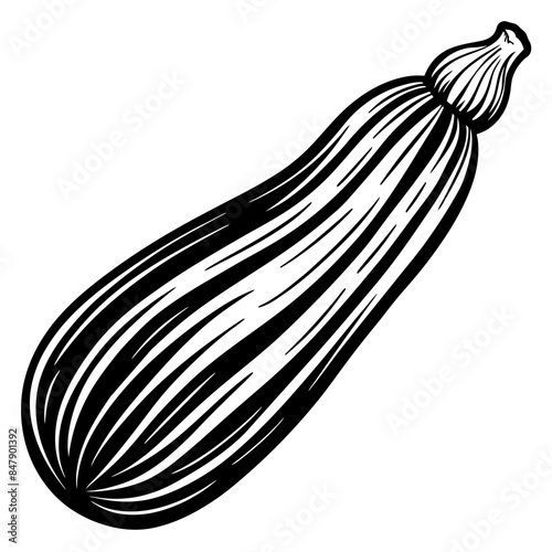 Zucchini vector silhouette illustration svg